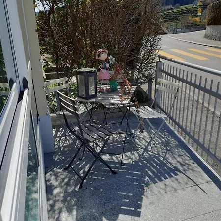 Les Hirondelles, De Avec Terrasse Et Coin Grillades Apartment